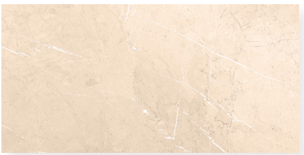 BRACCA BEIGE