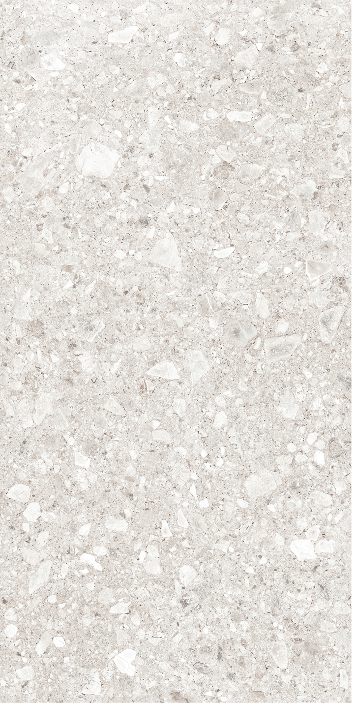 PEDREGAL BRECCIA