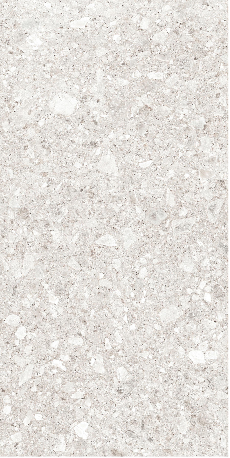 PEDREGAL BRECCIA