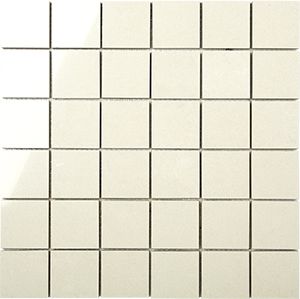 PORCELAIN BOTTICINO POLISHED MOSAIC 50X50MM - PT- EV- PM-BO-5050P